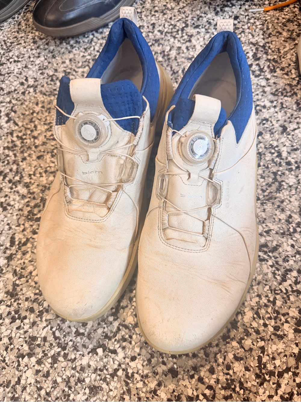 Ecco Men’s Athletic Shoe in Cream with Blue Collar - BOA Closure